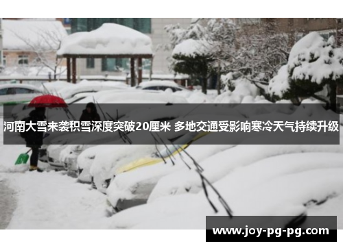 河南大雪来袭积雪深度突破20厘米 多地交通受影响寒冷天气持续升级